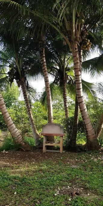 Belle Villa Au Coeur De La Gwada Le Gosier  Guadeloupe